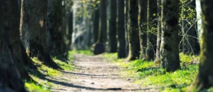 Lire la suite à propos de l’article Trouver du sens à sa vie : du dialogue à l’écriture