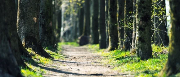 Lire la suite à propos de l’article Trouver du sens à sa vie : du dialogue à l’écriture